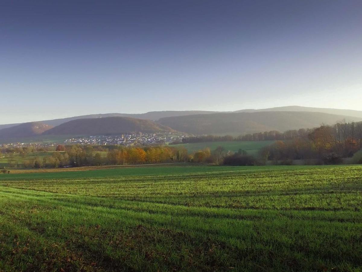 Chambres D'Hotes Coeur De Sundgau Leymen Bagian luar foto